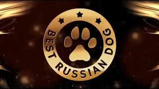 Гала-ужин Лучшие собаки России 2022 / Best Russian Dog 2022