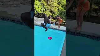 Очистился не только бассейн 😂