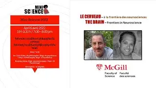 Mini-Science Ep. 3: Memory, models and philosophy of the brain
