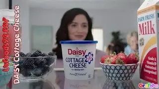 DAISY Cottage Cheese - Usfoods72 USA.