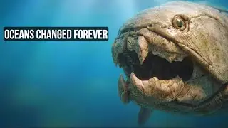 The Silurian Period: A New Ocean Emerged