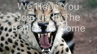 Cheetah Clan Of Fire