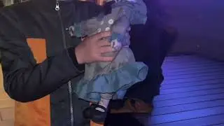 Missing Doll 2: The Missing Guest trailer