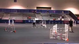 2008 AKC Invitational-Debby Wheeler and her pointer, Seven