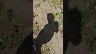 Marketten gelioz &ccedil;ekk