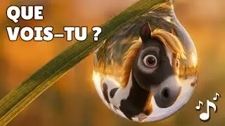 Banjo le Cheval Sauvage | Je Vois 🔍 | Chanson de Pleine Conscience pour Enfants