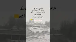 Ameen #flood #sadstatus #emotional #islamicreminder #muslimcontent #islamicstatus #shortsfeed
