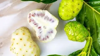 Natural Remedy for Skin Infection with NoNi Plants part 8 .   ( Morinda citrfolia )