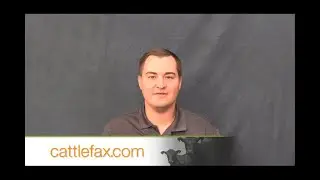 CattleFax Closing Bell: Live Cattle Money Flow &ndash; April 30, 2021
