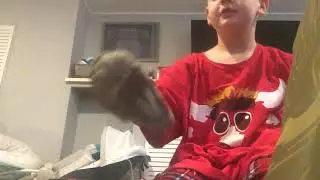 Wet lizard puppet scene with Dino puppet dying jk