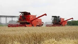 Żniwa 2019 z Bizonami | odc.6 | Duet Bizonów Super Z056 |