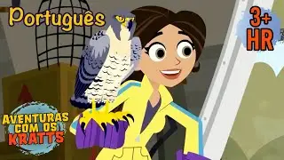 Uma missão de resgate de pássaros [episódios completos] Aventuras com os Kratts