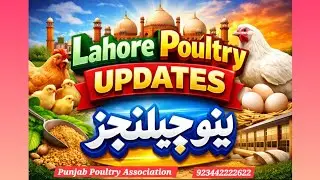 Punjab Poultry Association Punjab is live!