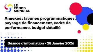 Annexes : lacunes programmatiques, paysage de financement, cadre de performance, budget détaillé