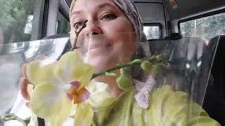 ДНЕВНИК ОРХОМАНА июль 23г.часть 2 - БЕСЦЕННЫЙ дар БАБОЧКА ЛЕГАТО