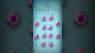 Hatching 12&times;12 eggs for shiny - rare Pok&eacute;mon #shorts #eggs #hatch #ultragoo #game #lucky #rare