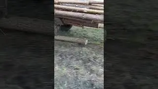 prevoz drva sa traktorom 😂 #tractor #automobile #funny #shortvideo