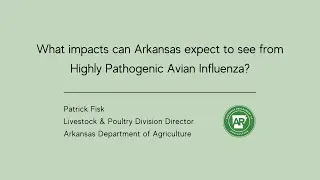 2022 Highly Pathogenic Avian Influenza Q&A: What Impacts Can Arkansas Expect to See?