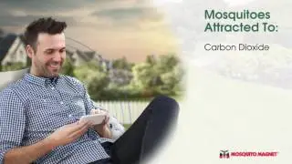 How Do Mosquito Magnet&reg; Traps Work?