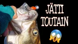ISOJEN TOUTAIMIEN KALASTUSTA | NAPPAAKO TOUTAIN JIGIIN |