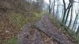 A run to Riis forest training grounds