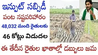 input subsidy amount release date 2023//ysr input subsidy amount release date 2023