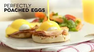 Dash Rapid Egg Cooker: 6 Egg Capacity Electric Egg Cooker