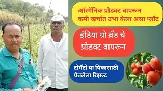 Tomato Result | Indiagro Product Result | Grow magic advance | Mi spray plus