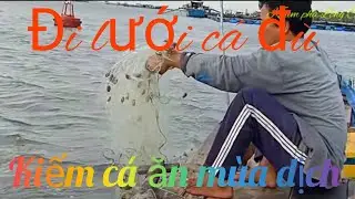 Đi lưới cá đù - kiếm cá ăn mùa dịch ll Khám phá Long Sơn #4