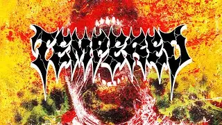 TEMPERED - COLD HARD GROUND (OFFICIAL)