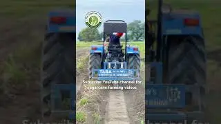 Ratoon manager #riar_sugarcane_farm