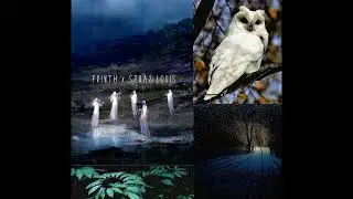 7RINTH x STRAY LOUIS - ROMANIAN TREE SPIRITS