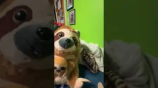 Talent show! (A sloth movie ten sub special)