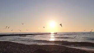 Son de la Mer et des Mouettes  Son de Relaxation, D&eacute;tente, M&eacute;ditation, Yoga, Dormir facilement