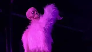 vitulina - Will You? (Official Music Video)