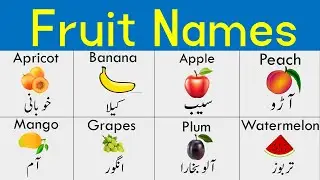 Fruits Name in Hindi and Urdu | Learn Fruits Vocabulary with Pictures and PDF