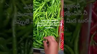 ఎవరిని గుడ్డిగా నమ్మకండి,ఎండాకాలంలో నిన్ను రక్షించిన నీ చెప్పులే వర్షాకాలంలో నీ మీద బురద జల్లుతాయి.👍
