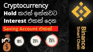 How To Stake Crypto | Best Crypto Saving Accounts සිංහලෙන් |
