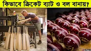 কিভাবে ক্রিকেট বল ও ব্যাট বানায় ? | How to Make Cricket Bat and Ball ?