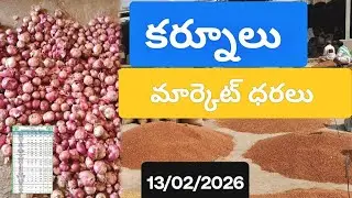 13/02/2026కర్నూలు మార్కెట్ ధరలు today kurnool market rates prices redgram kandulu mirchi onion maiz 