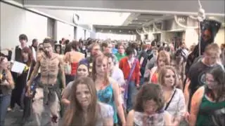 MegaCon 2013 Highlights