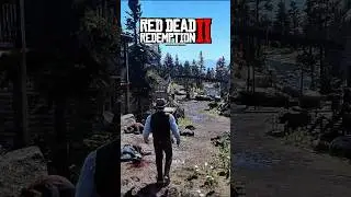 2 секретных способа получить лучшее оружие в начале игры Red Dead Redemption 2
