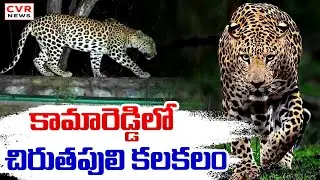 కామారెడ్డి జిల్లాలో చిరుతపులి కలకలం | Leopard Hulchul In Kamareddy District | CVR News