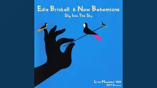 Little Miss S (Live)