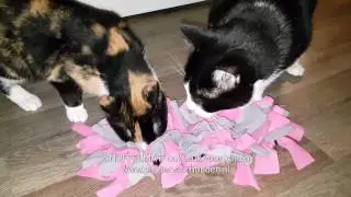 Snuffelmat voor katten