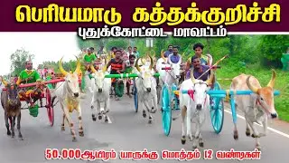 கத்தக்குறிச்சி பெரியமாடு பந்தயம் 07.09.2025