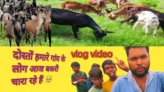 दोस्तों हमारे गांव के लोग आज बकरी चारा रहे हैं 🥹