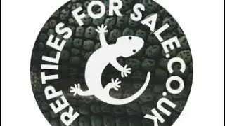 HOW TO SELL REPTILES &hellip;