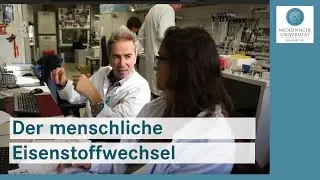 Der menschliche Eisenstoffwechsel