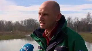 SBTV - DNEVNIK - SAVA RASTE, OPASNOSTI OD POPLAVA ZA SADA NEMA - 13.03.2018.